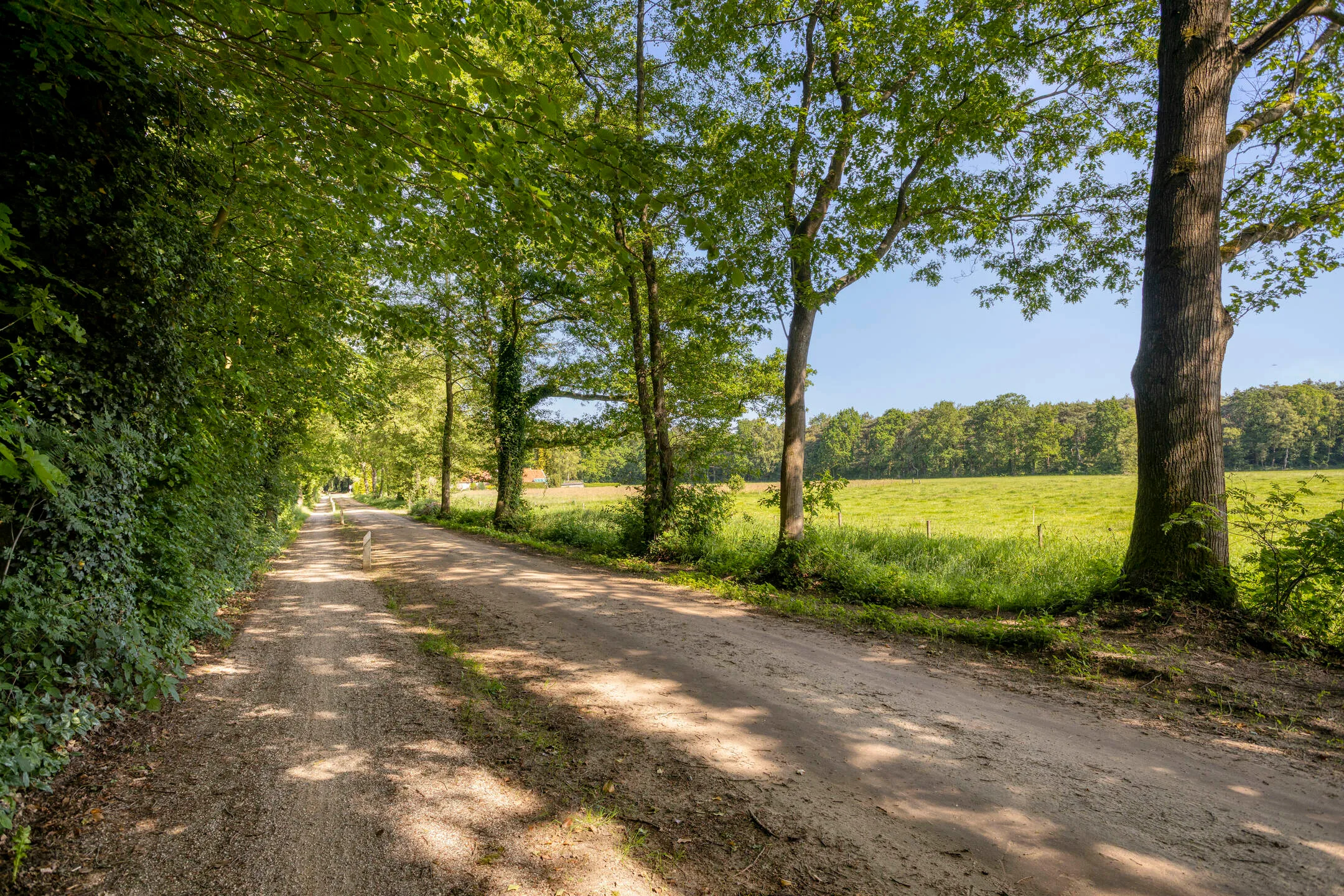 enzerinckweg-5-vorden-01